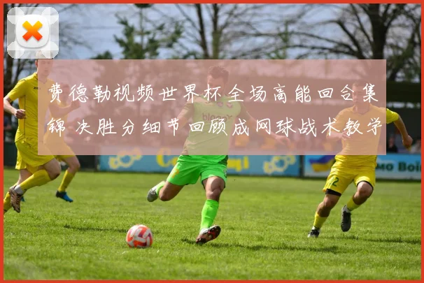 费德勒视频世界杯全场高能回合集锦 决胜分细节回顾成网球战术教学