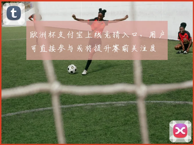 欧洲杯支付宝上线竞猜入口，用户可直接参与或将提升赛前关注度