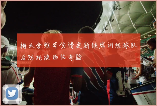 梅米舍维奇伤情更新缺席训练球队后防轮换面临考验