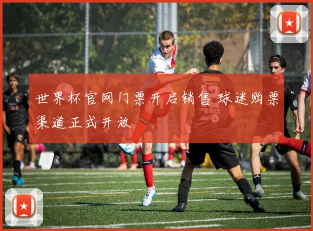 世界杯官网门票开启销售 球迷购票渠道正式开放