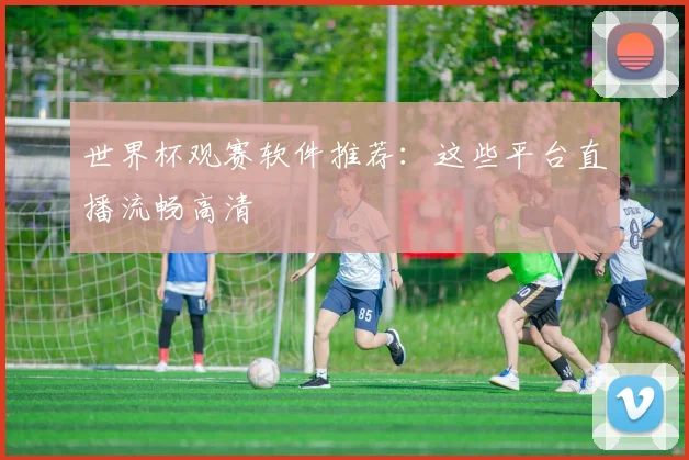 世界杯观赛软件推荐:这些平台直播流畅高清