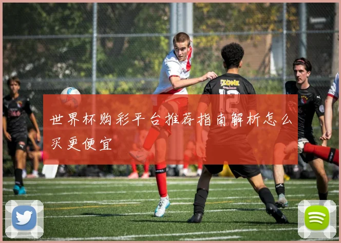 世界杯购彩平台推荐指南解析怎么买更便宜