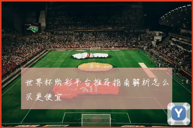 世界杯购彩平台推荐指南解析怎么买更便宜