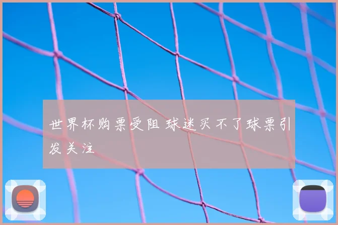 世界杯购票受阻 球迷买不了球票引发关注